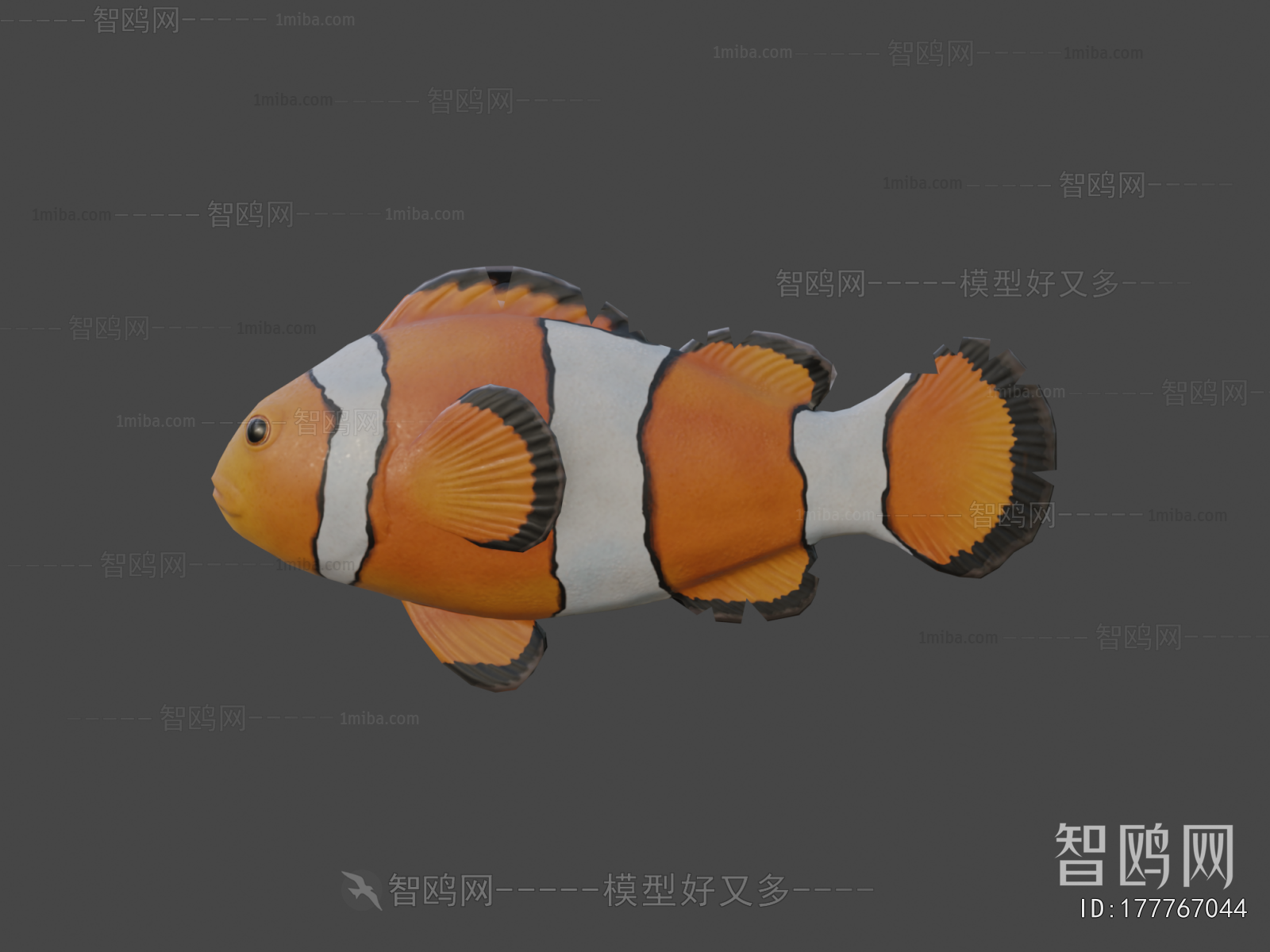 Modern Aquatic Animals