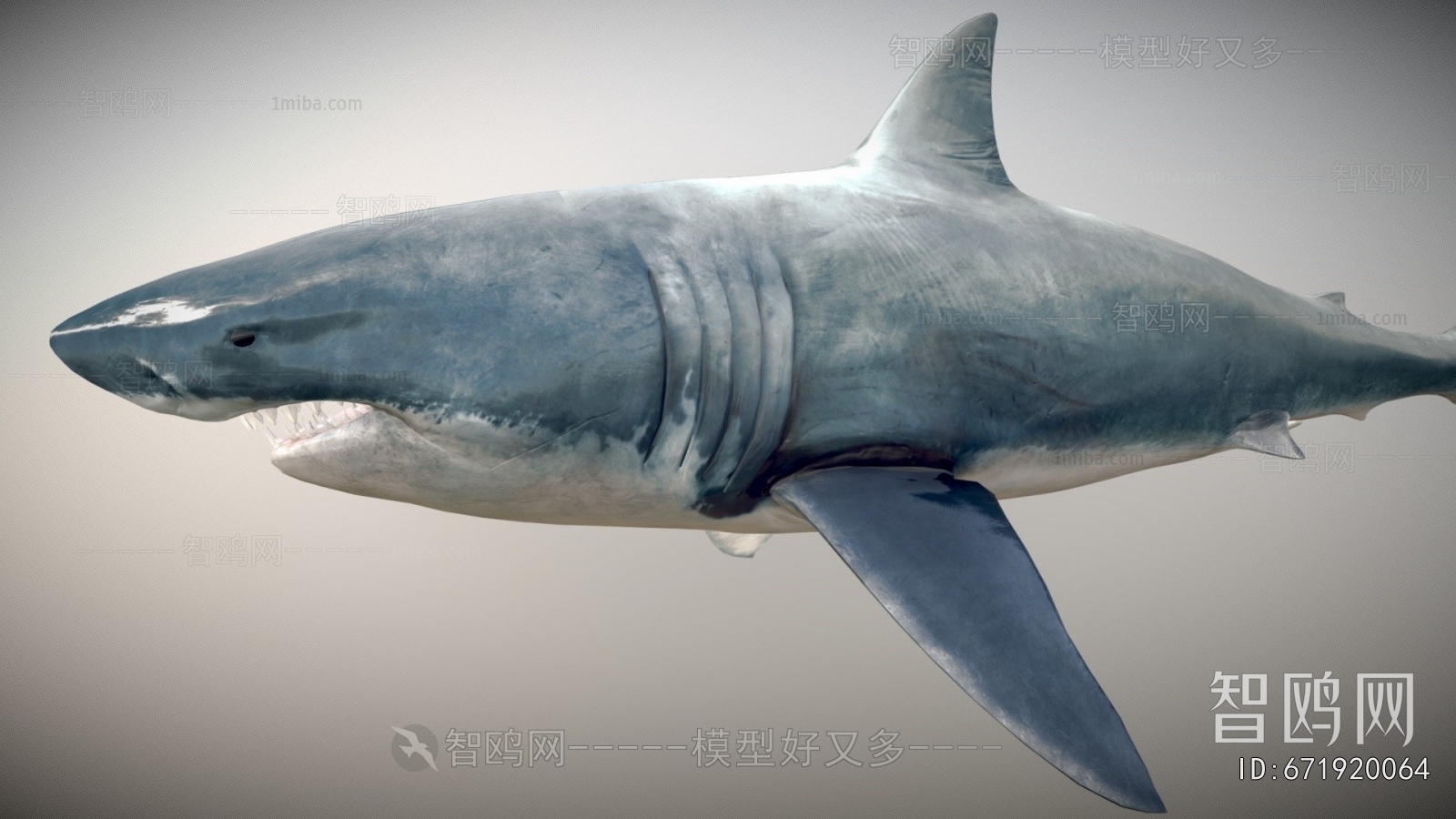 Modern Aquatic Animals