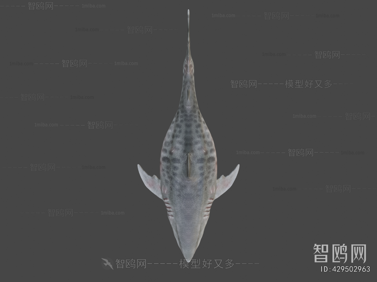 Modern Aquatic Animals