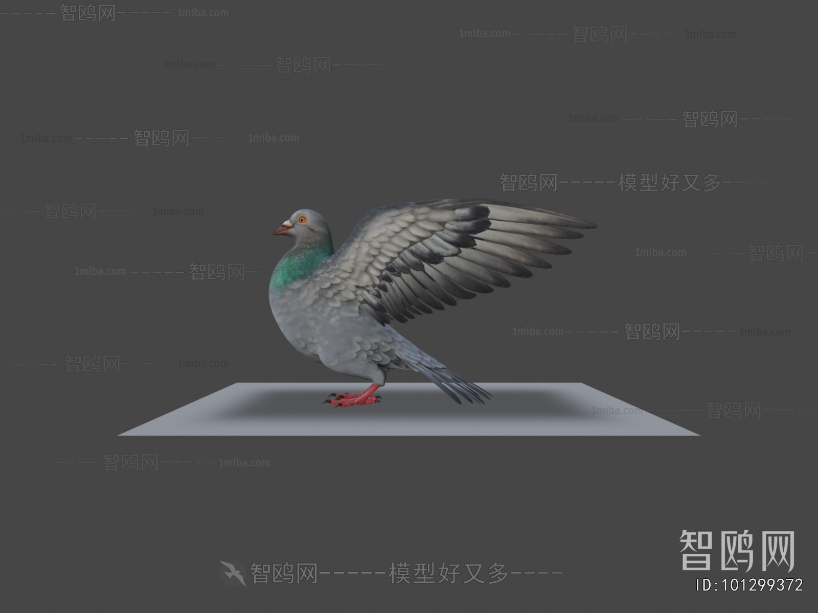 Modern Flying Animals