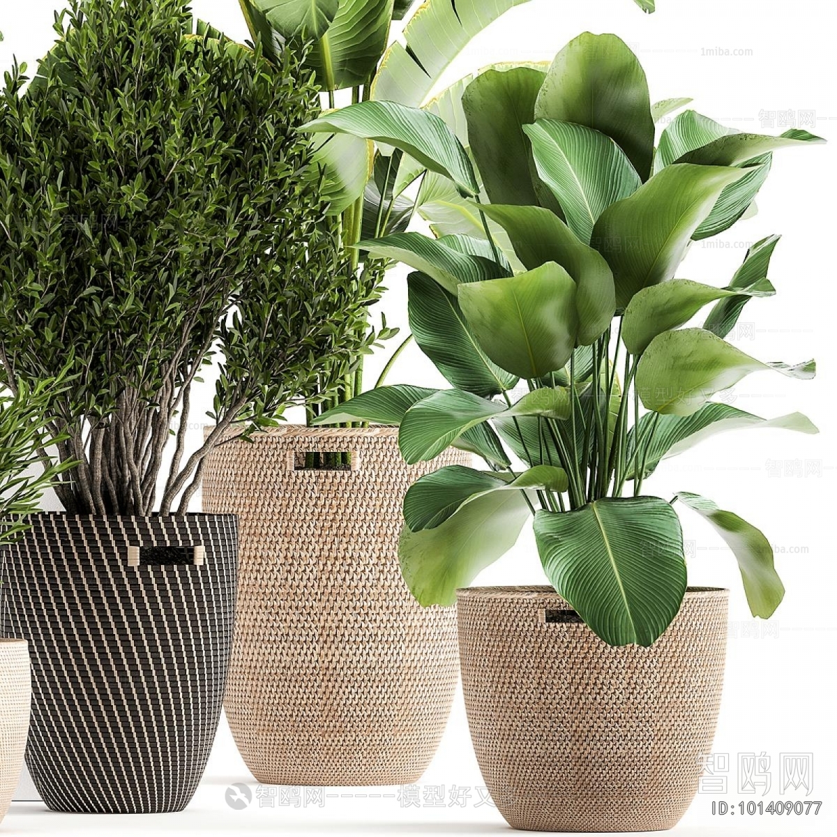 Modern Ground Green Plant Potted Plants