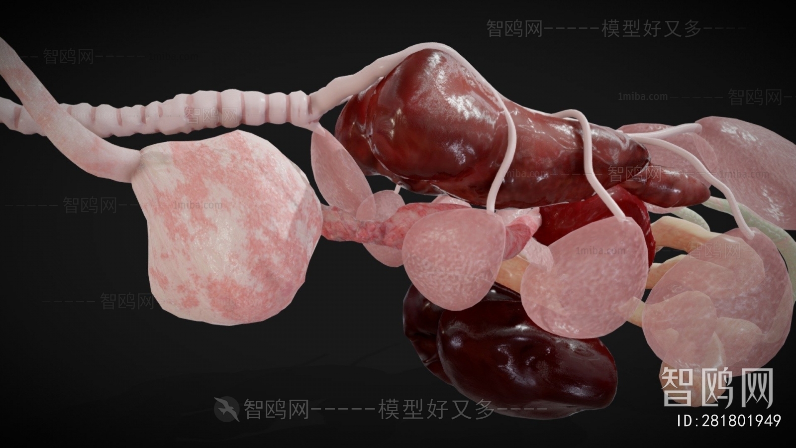 Modern Medical Equipment