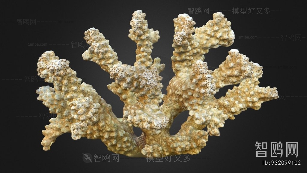 Modern Aquatic Animals