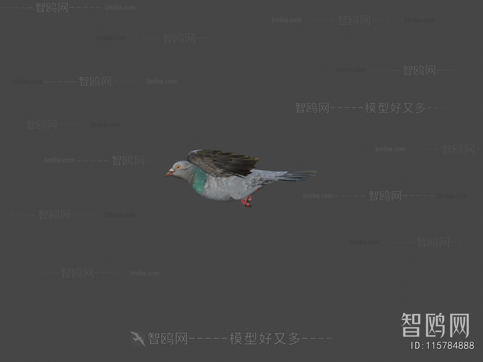 Modern Flying Animals