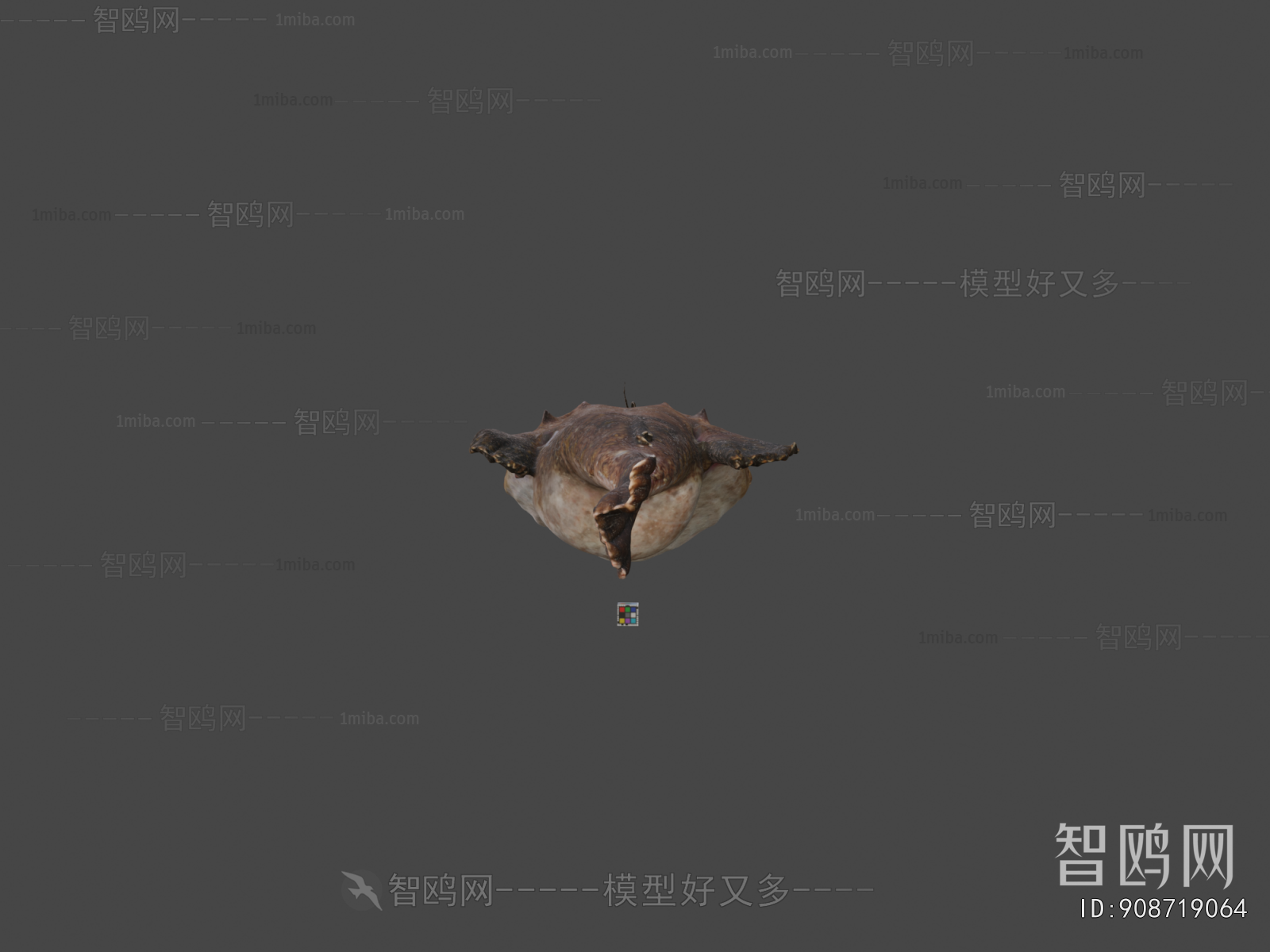 Modern Aquatic Animals