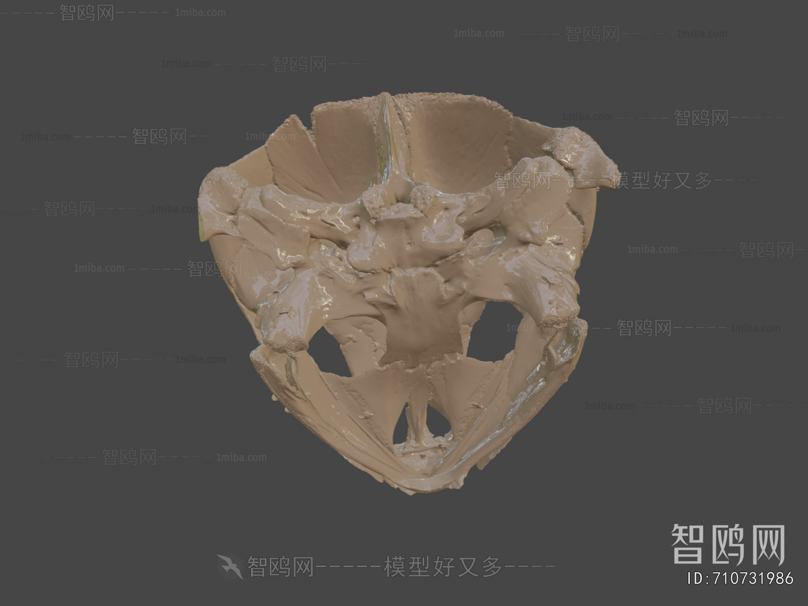 Modern Medical Equipment