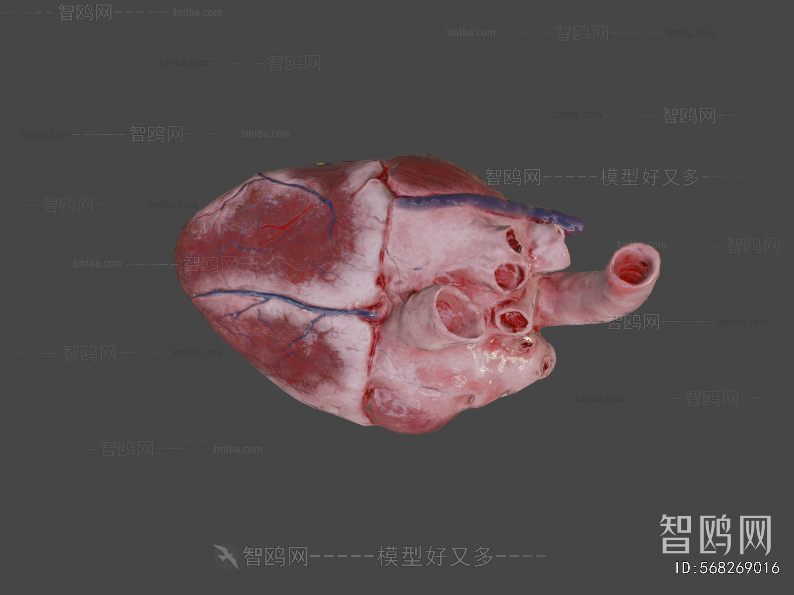 Modern Medical Equipment