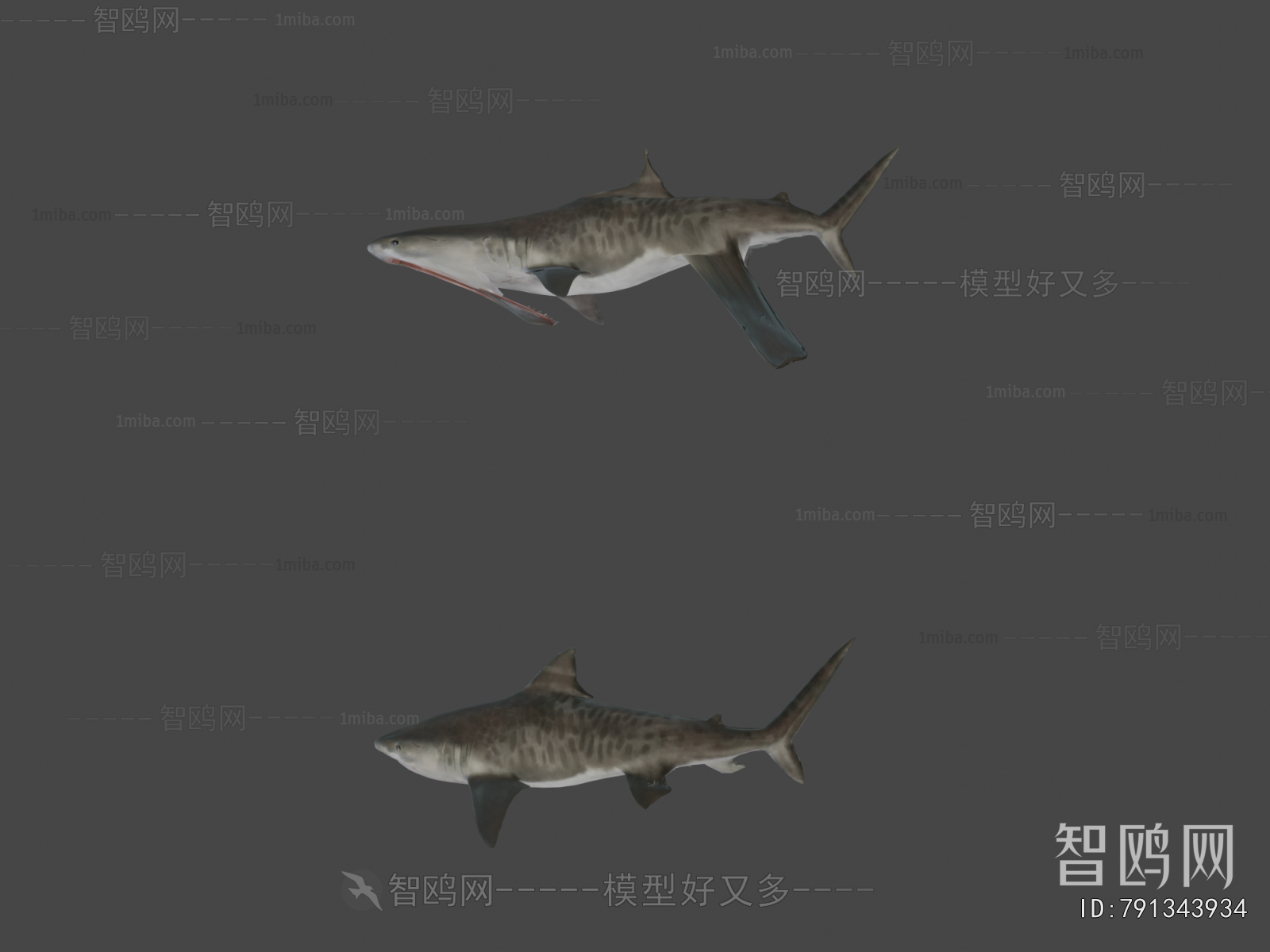 Modern Aquatic Product