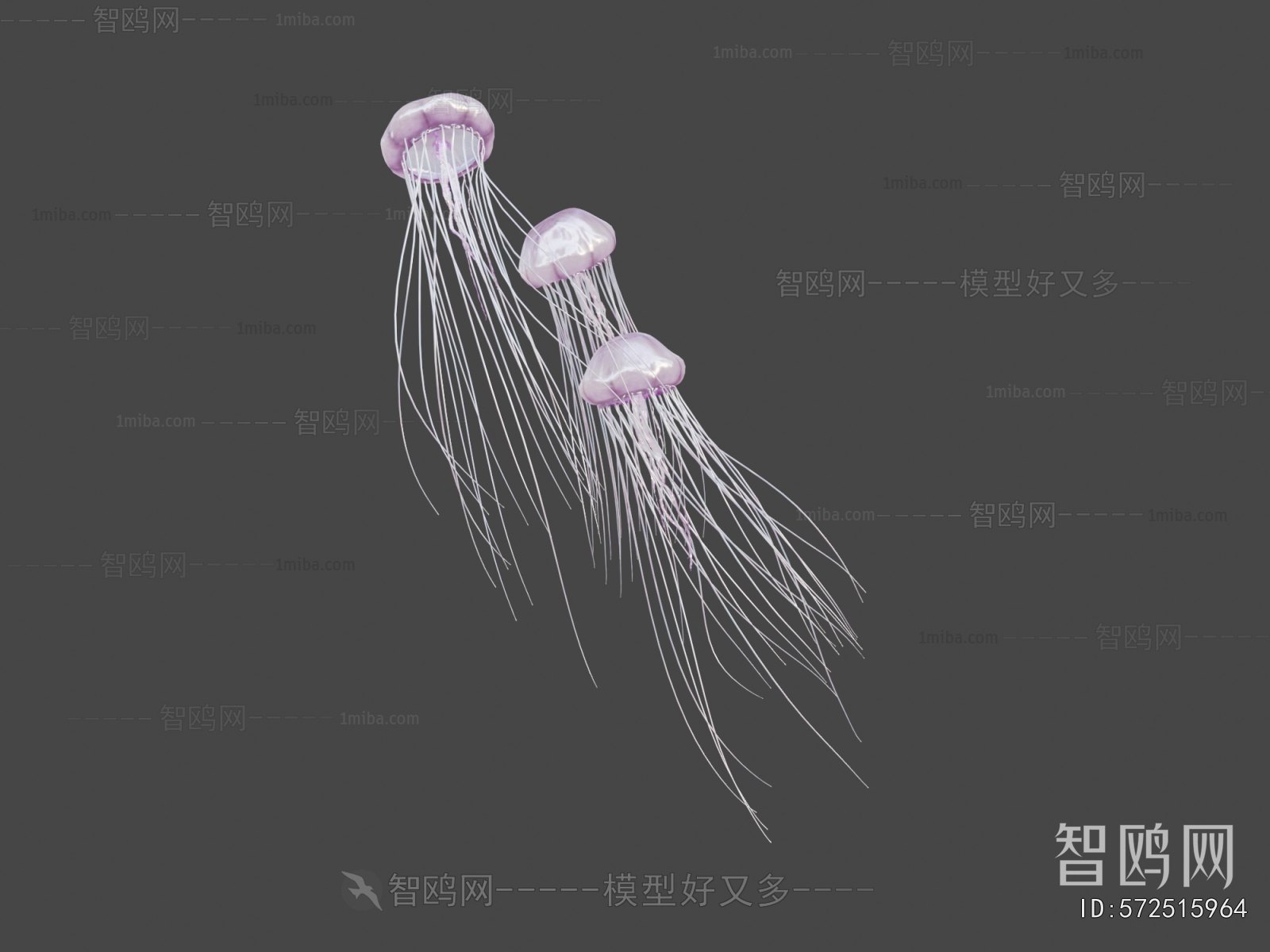 Modern Aquatic Animals