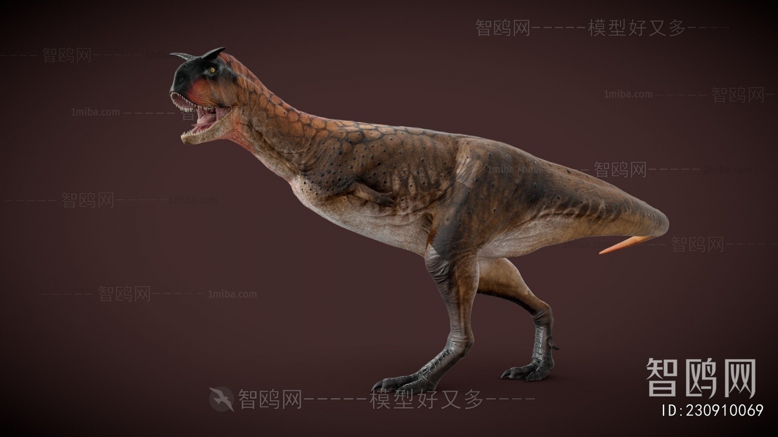 Modern Other Animals