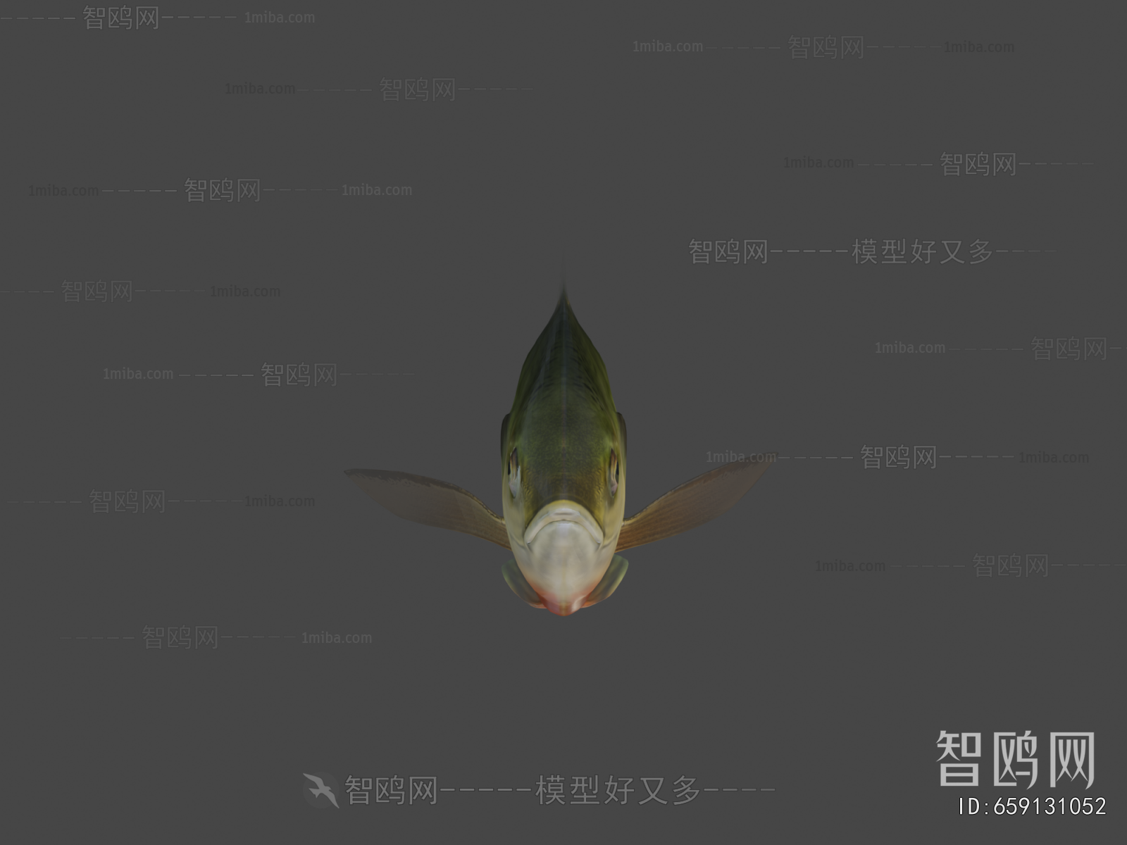 Modern Aquatic Animals