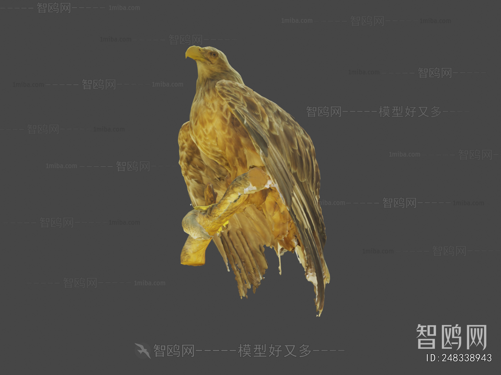 Modern Flying Animals