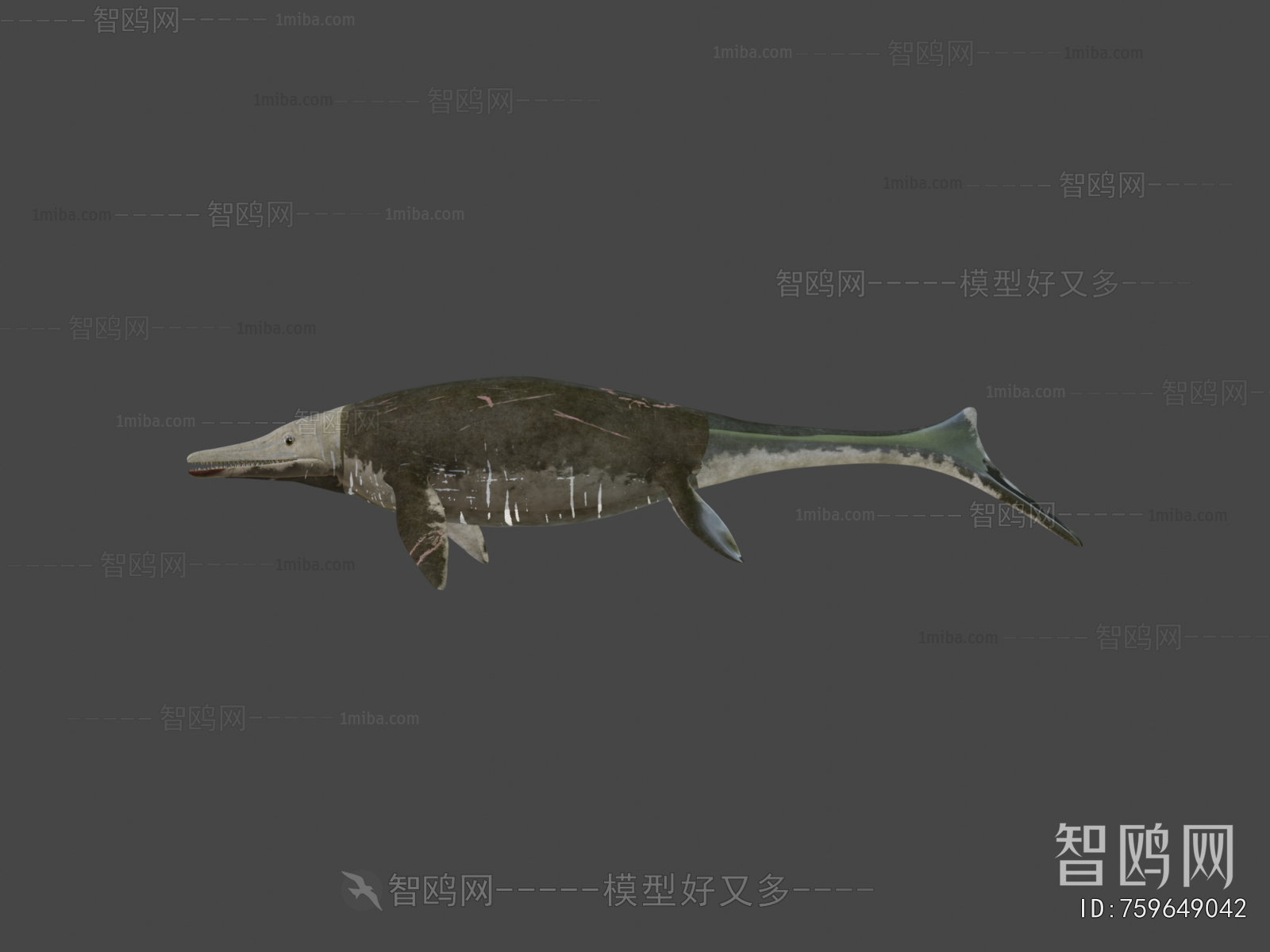 Modern Aquatic Animals