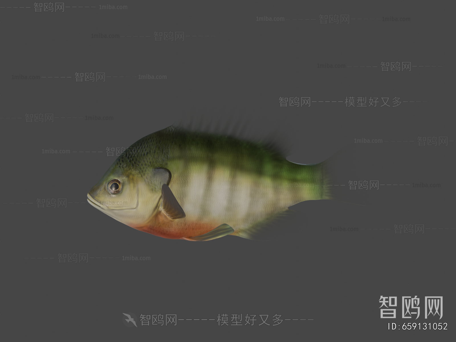 Modern Aquatic Animals