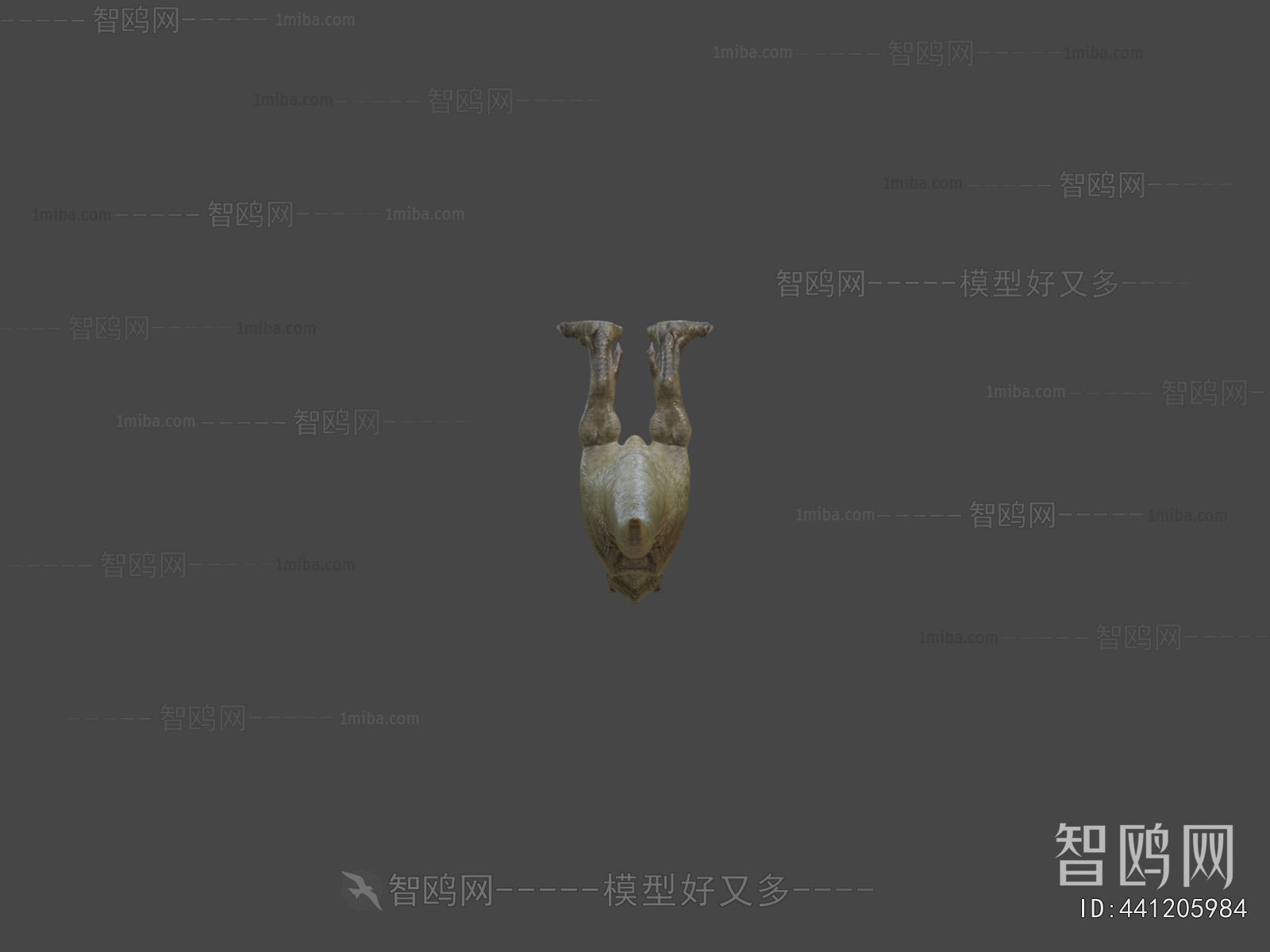 Modern Other Animals