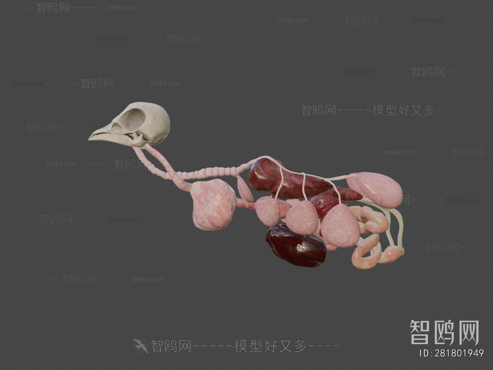 Modern Medical Equipment