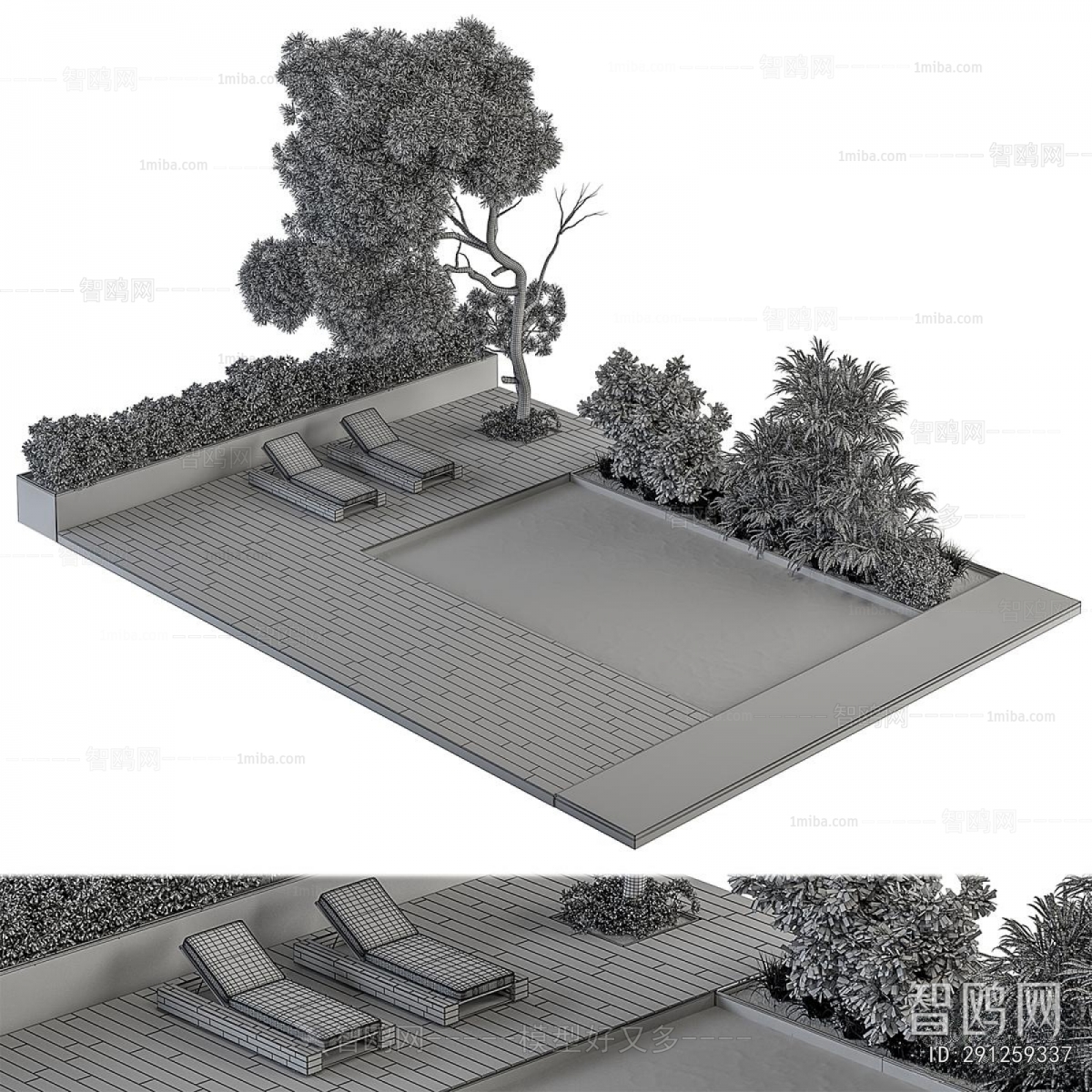 Modern Swimming Pool