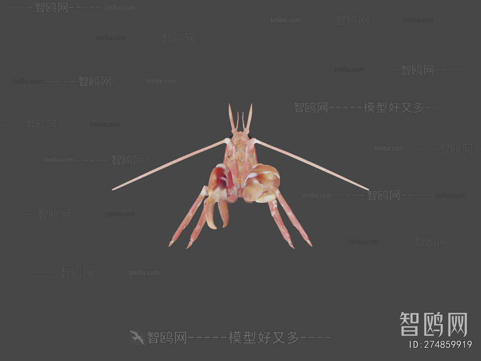 Modern Aquatic Animals