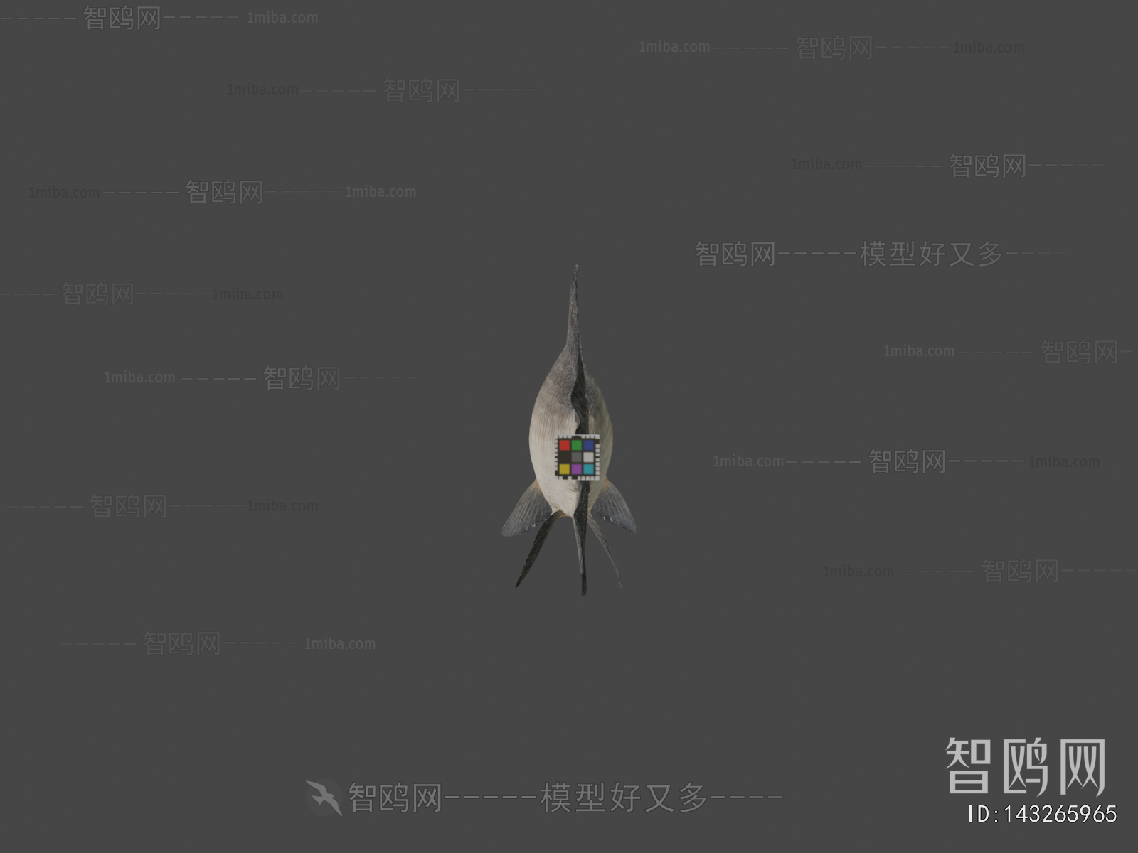 Modern Aquatic Animals