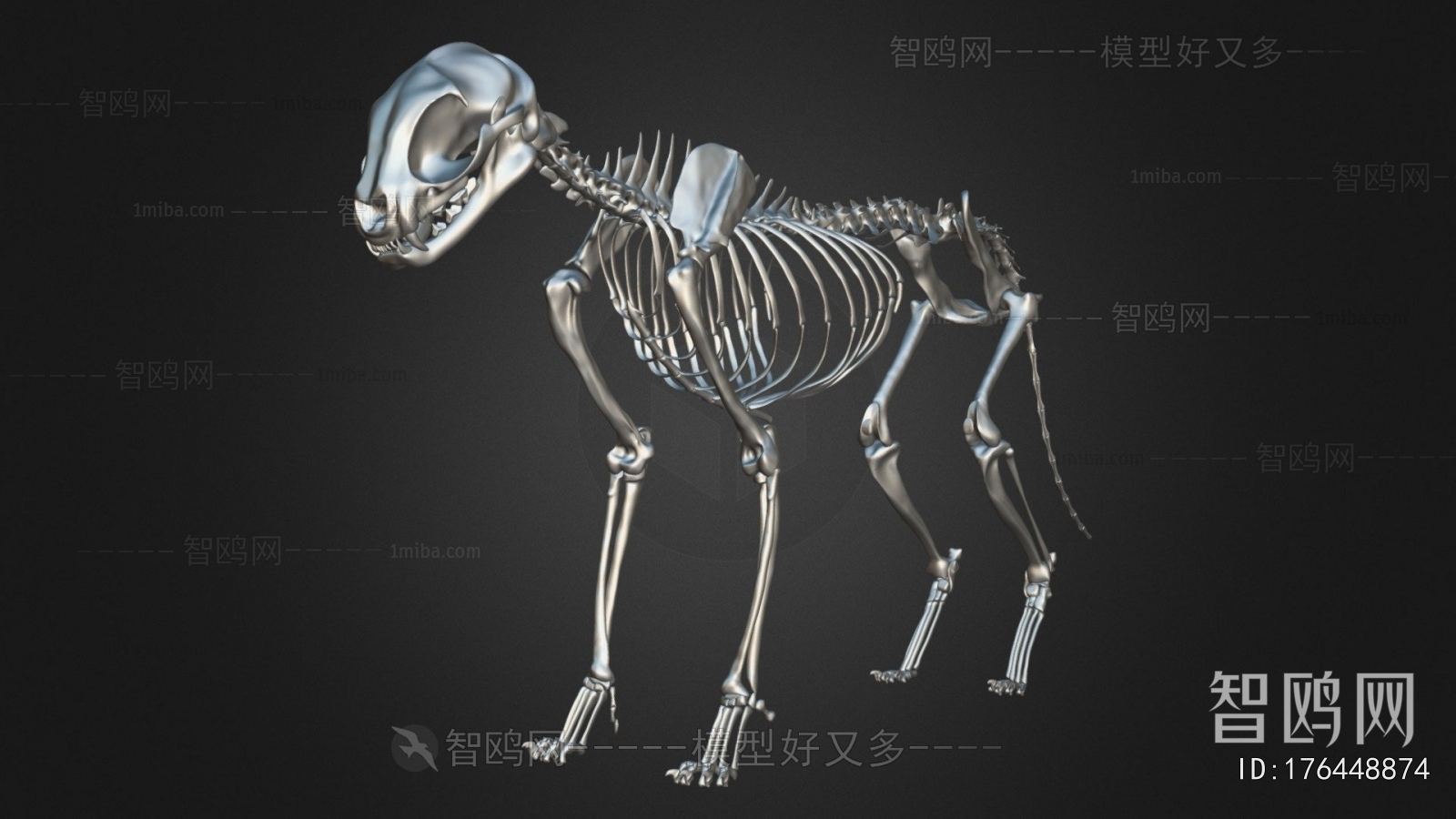 Modern Animal