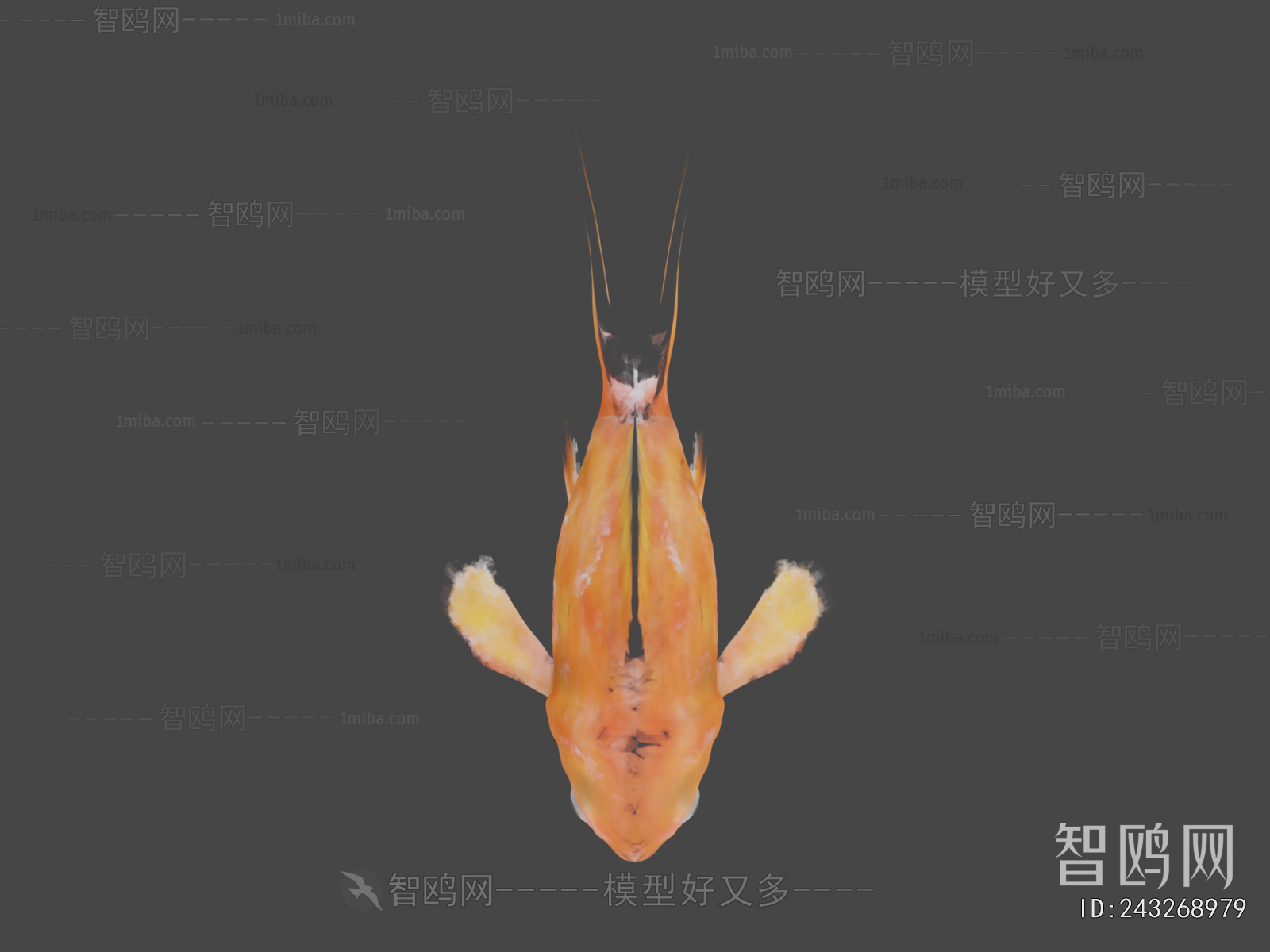 Modern Aquatic Animals