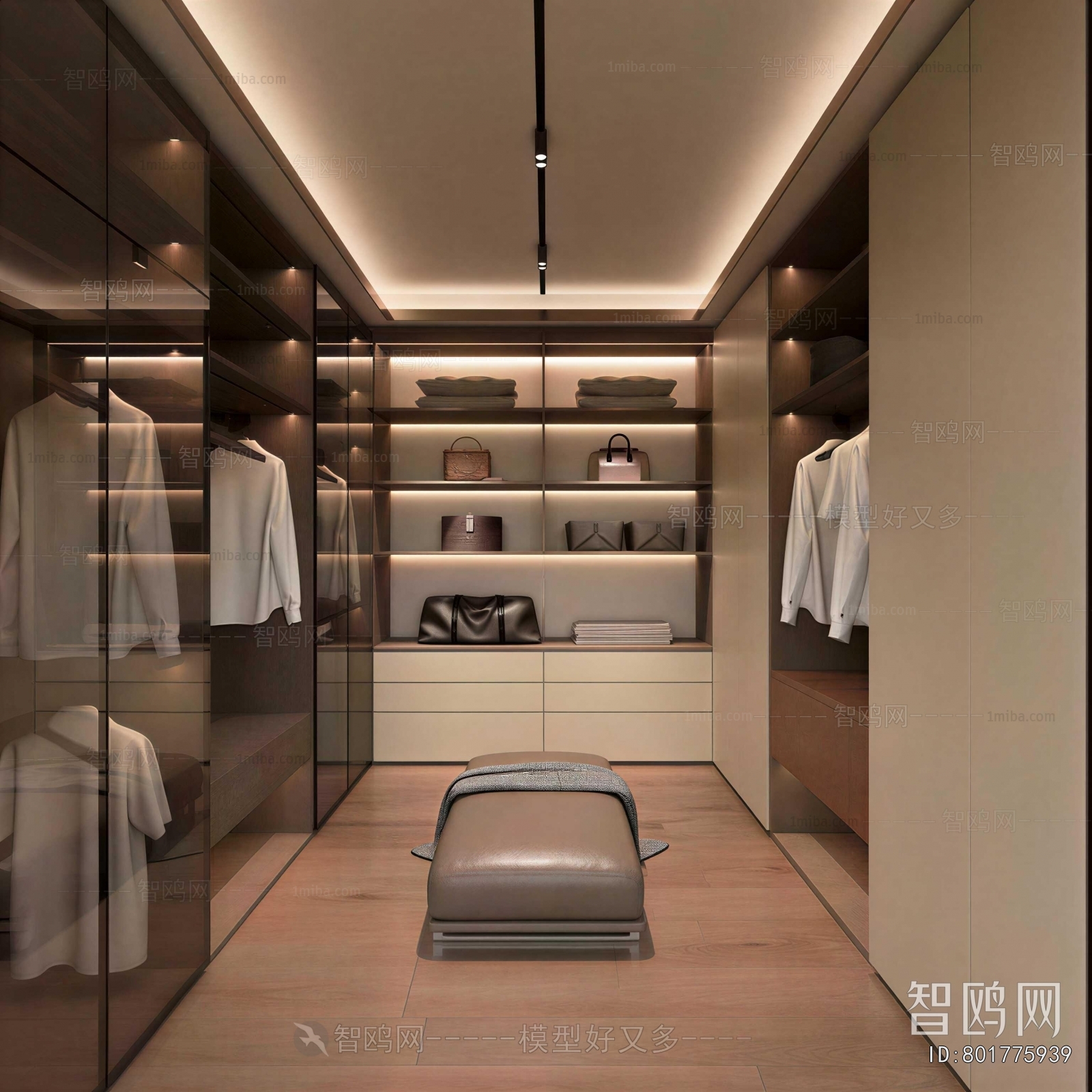 Modern Clothes Storage Area