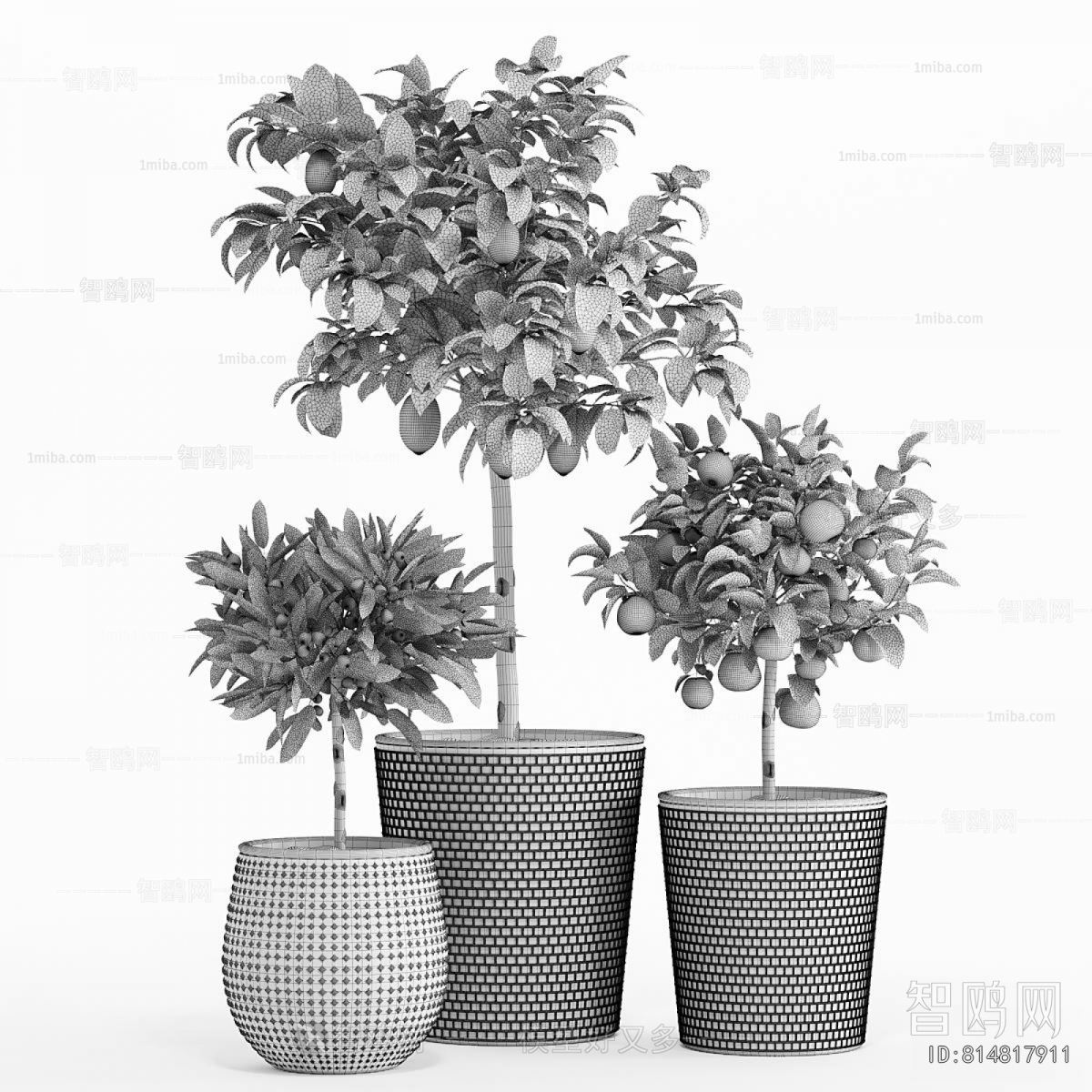 Modern Potted Green Plant