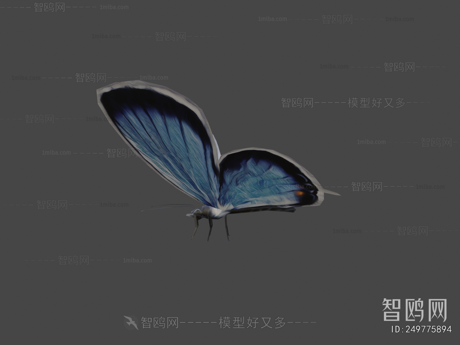 Modern Flying Animals