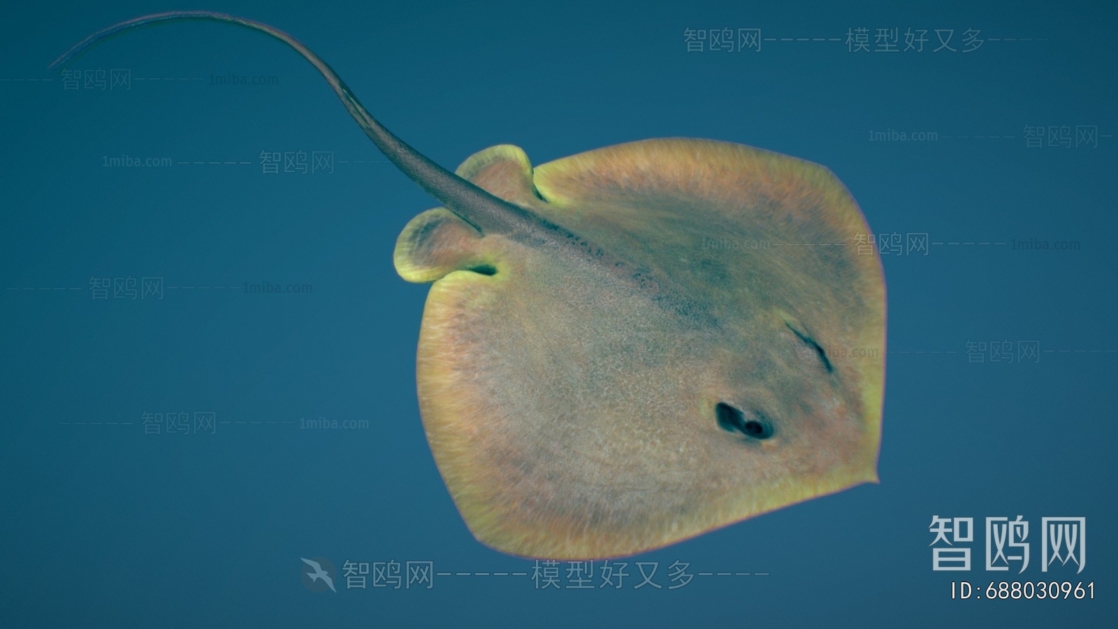 Modern Aquatic Animals