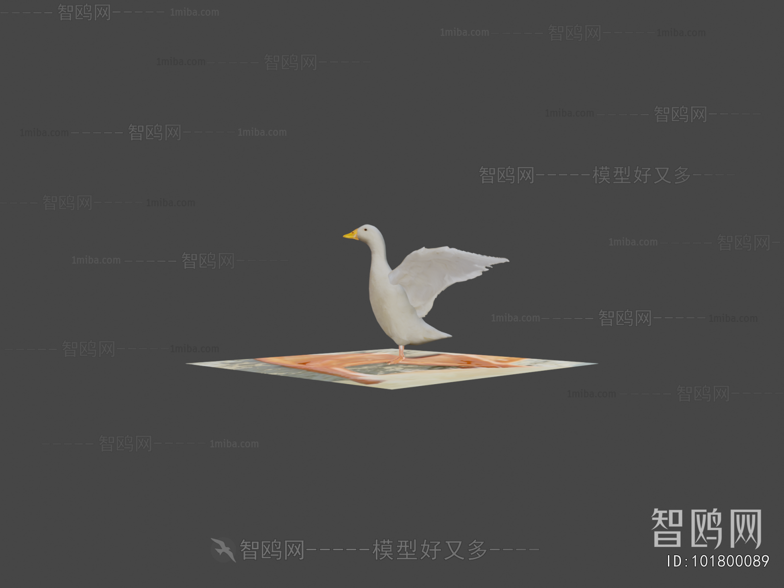 Modern Poultry Animal