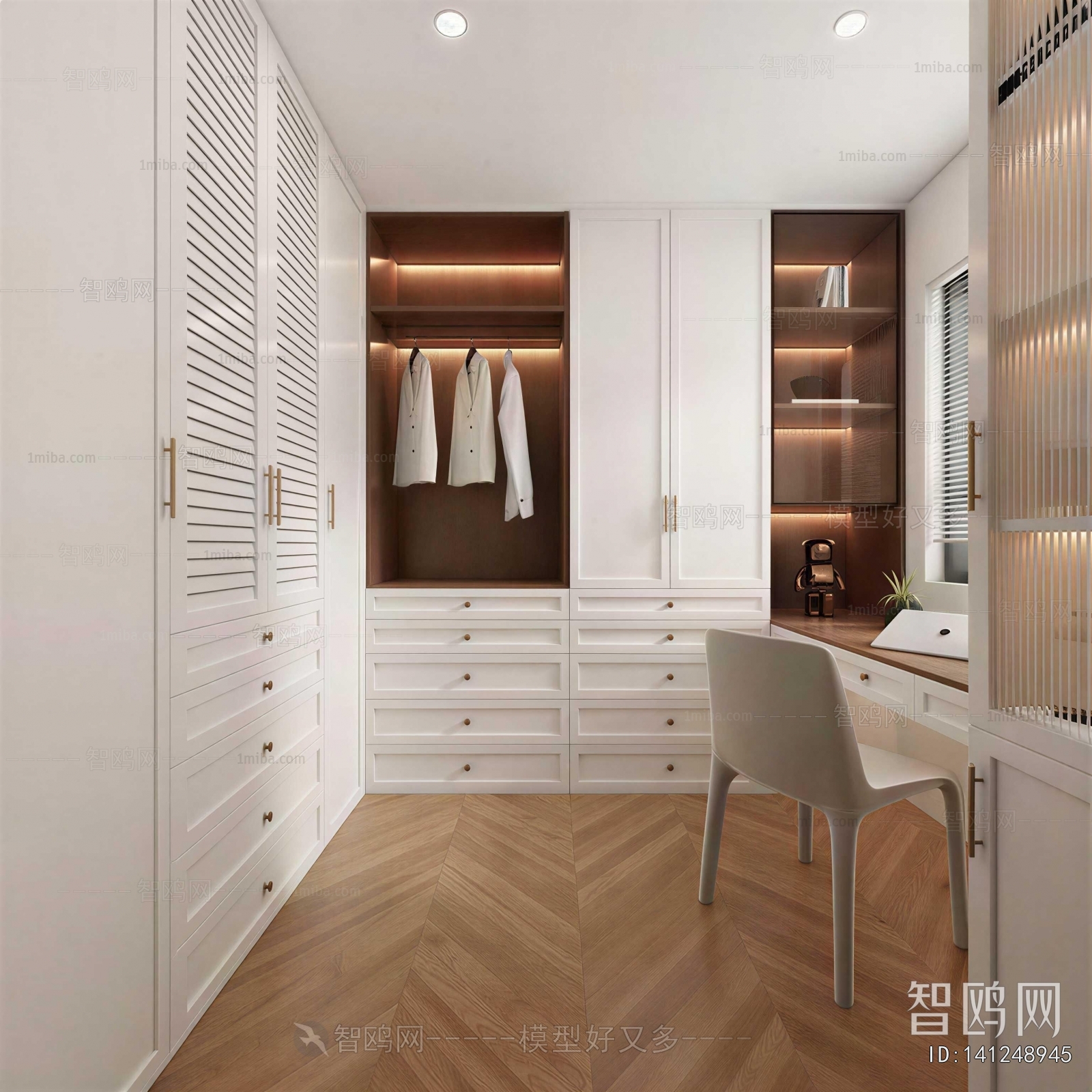 Modern Clothes Storage Area