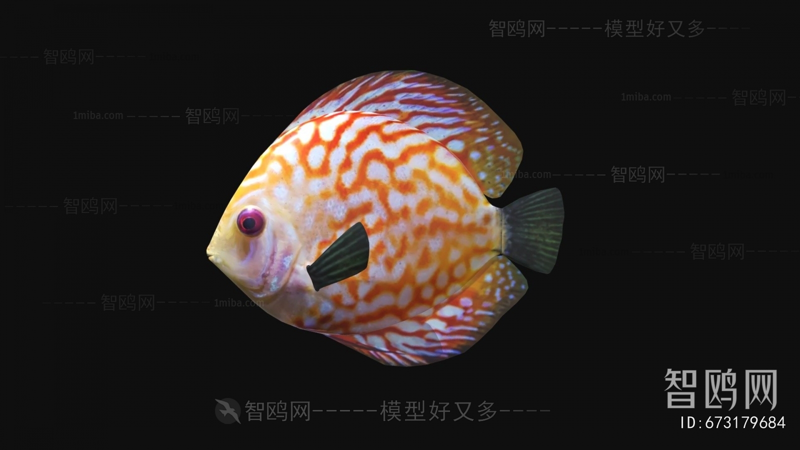 Modern Aquatic Animals