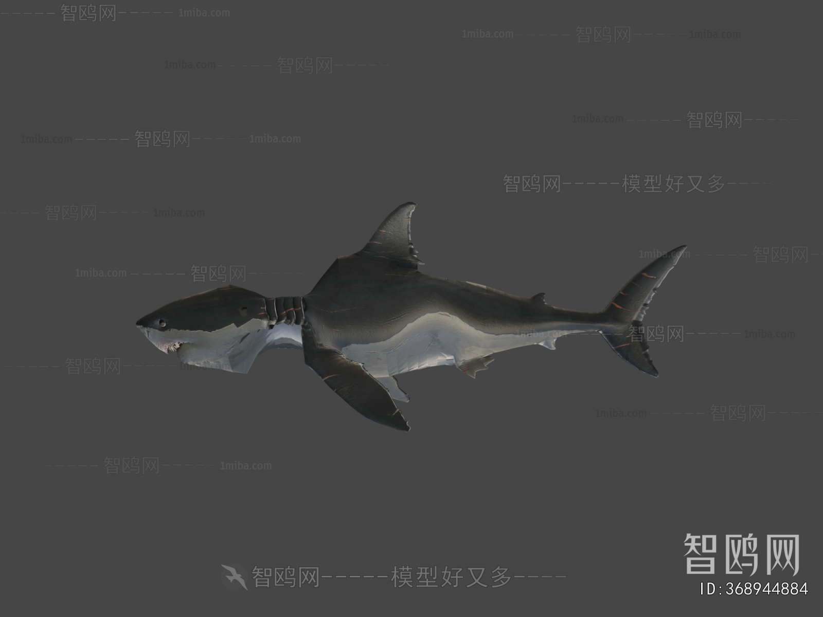 Modern Aquatic Animals