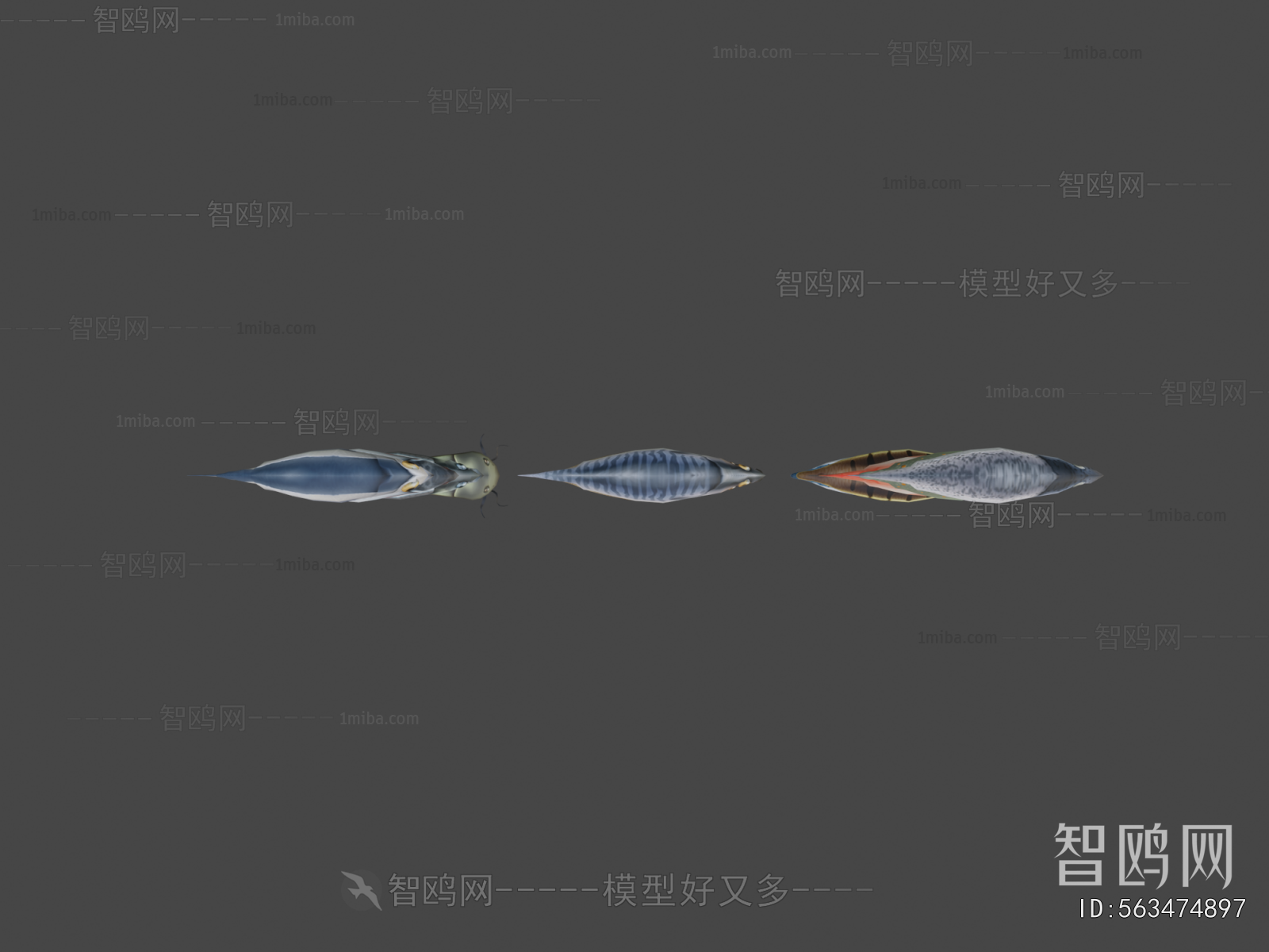 Modern Aquatic Animals