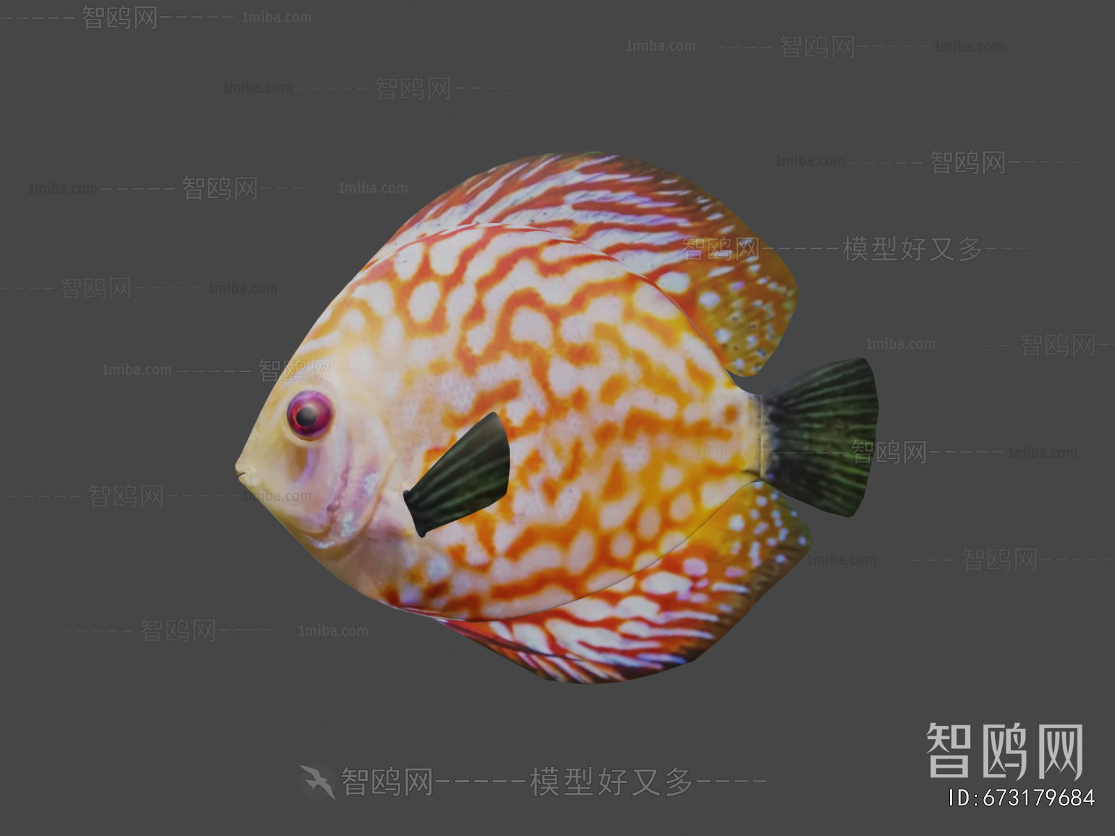 Modern Aquatic Animals