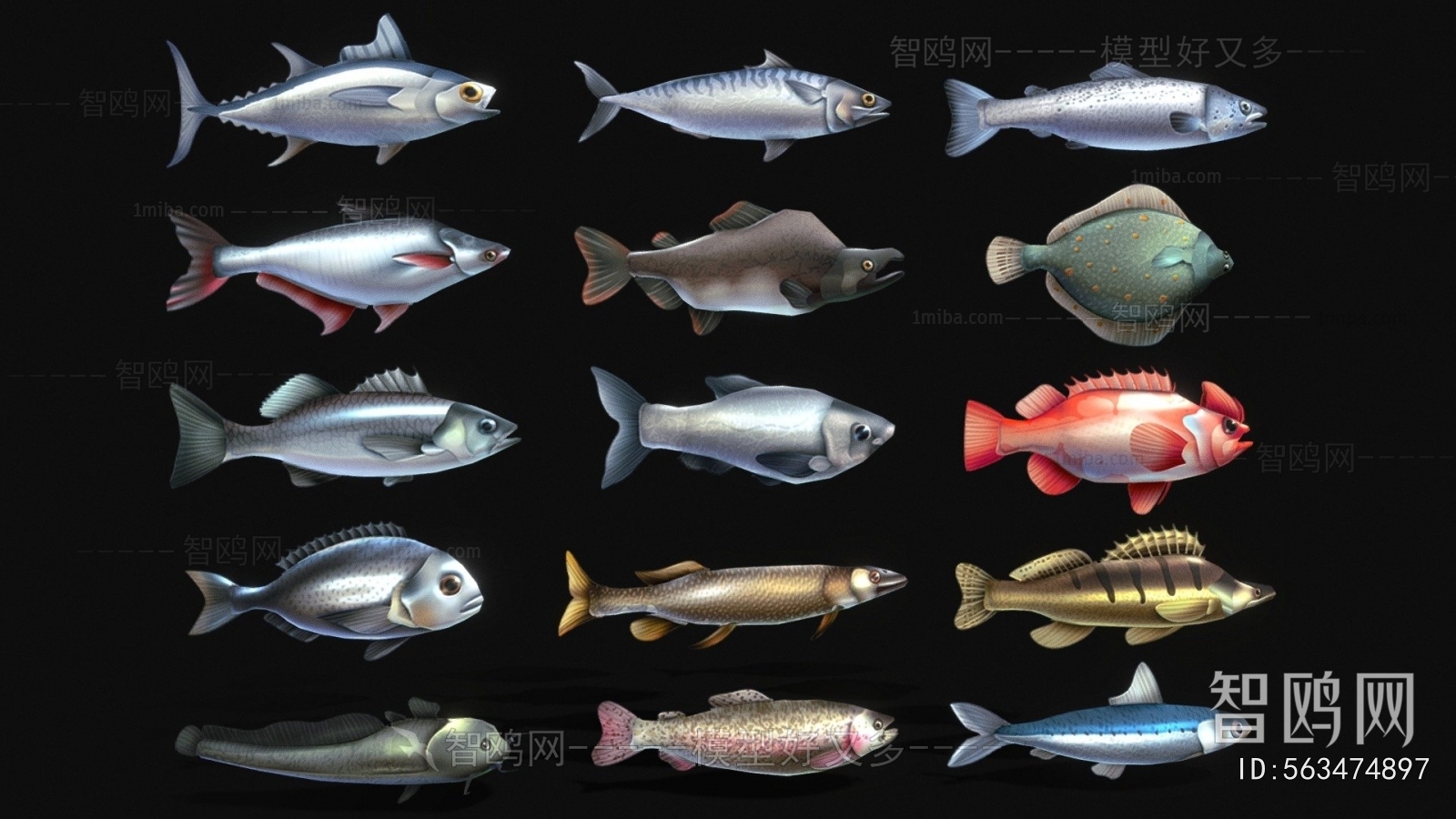 Modern Aquatic Animals