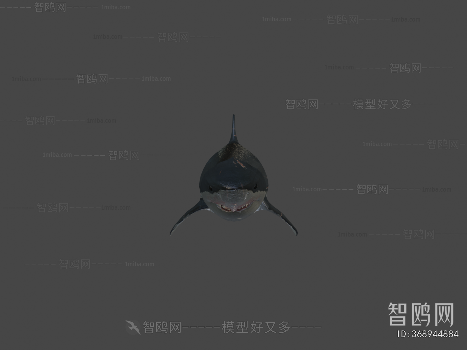 Modern Aquatic Animals