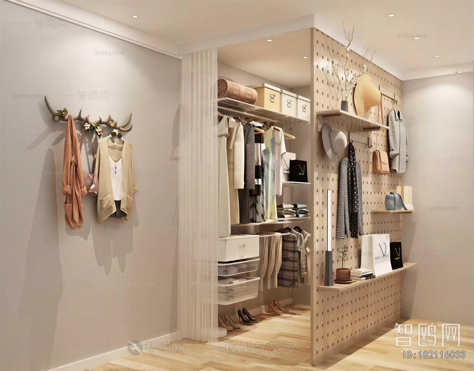 Modern Clothes Storage Area