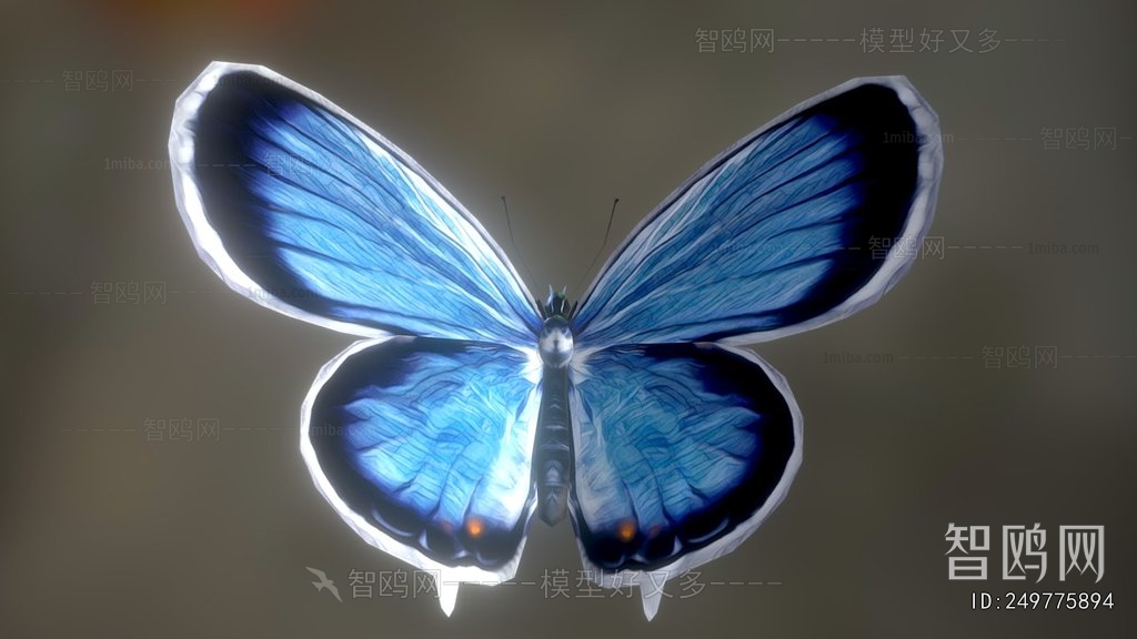 Modern Flying Animals