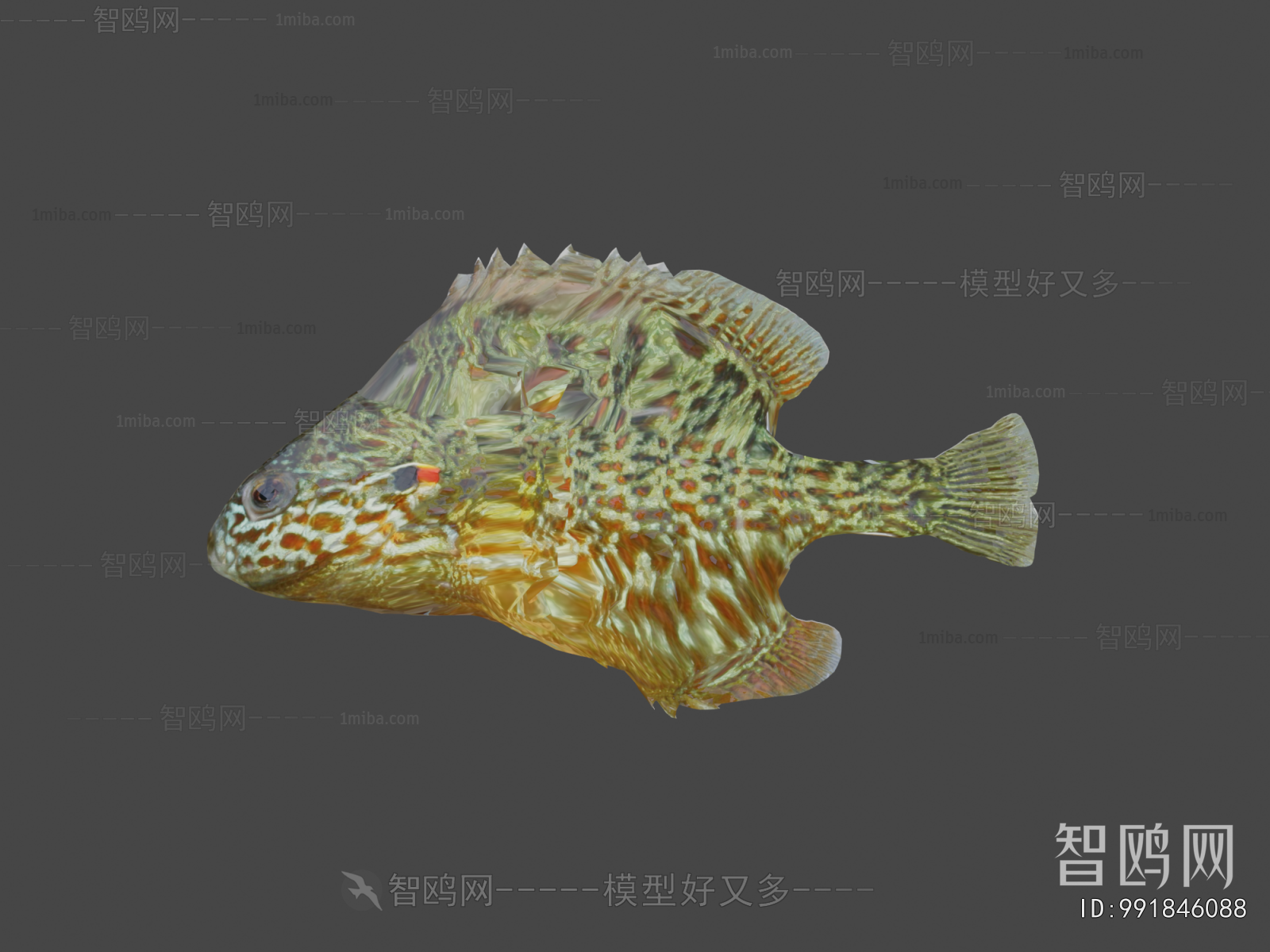 Modern Aquatic Animals