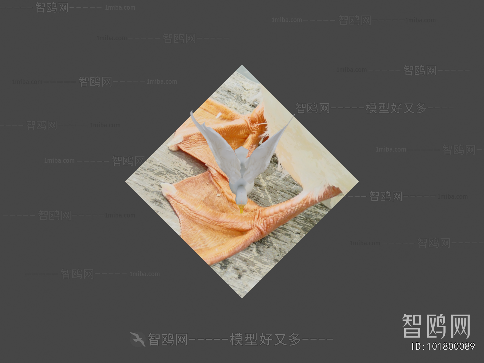 Modern Poultry Animal