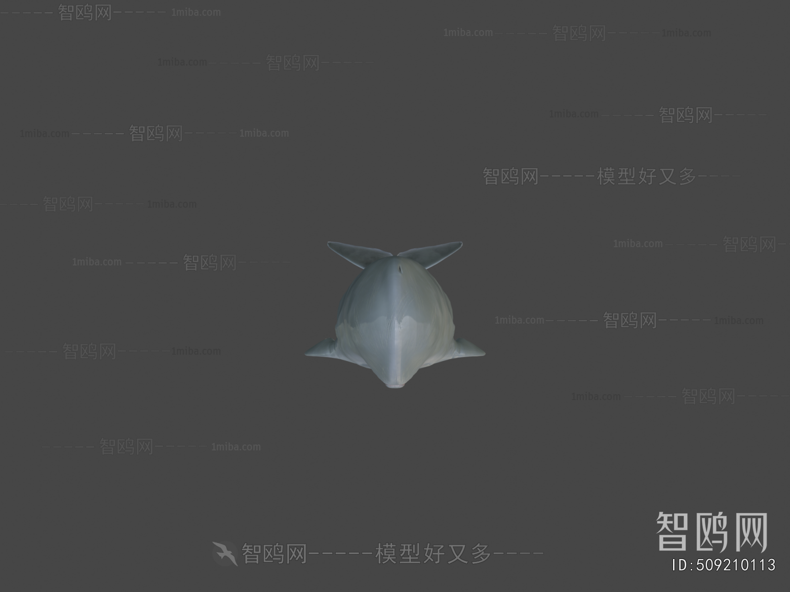 Modern Aquatic Animals