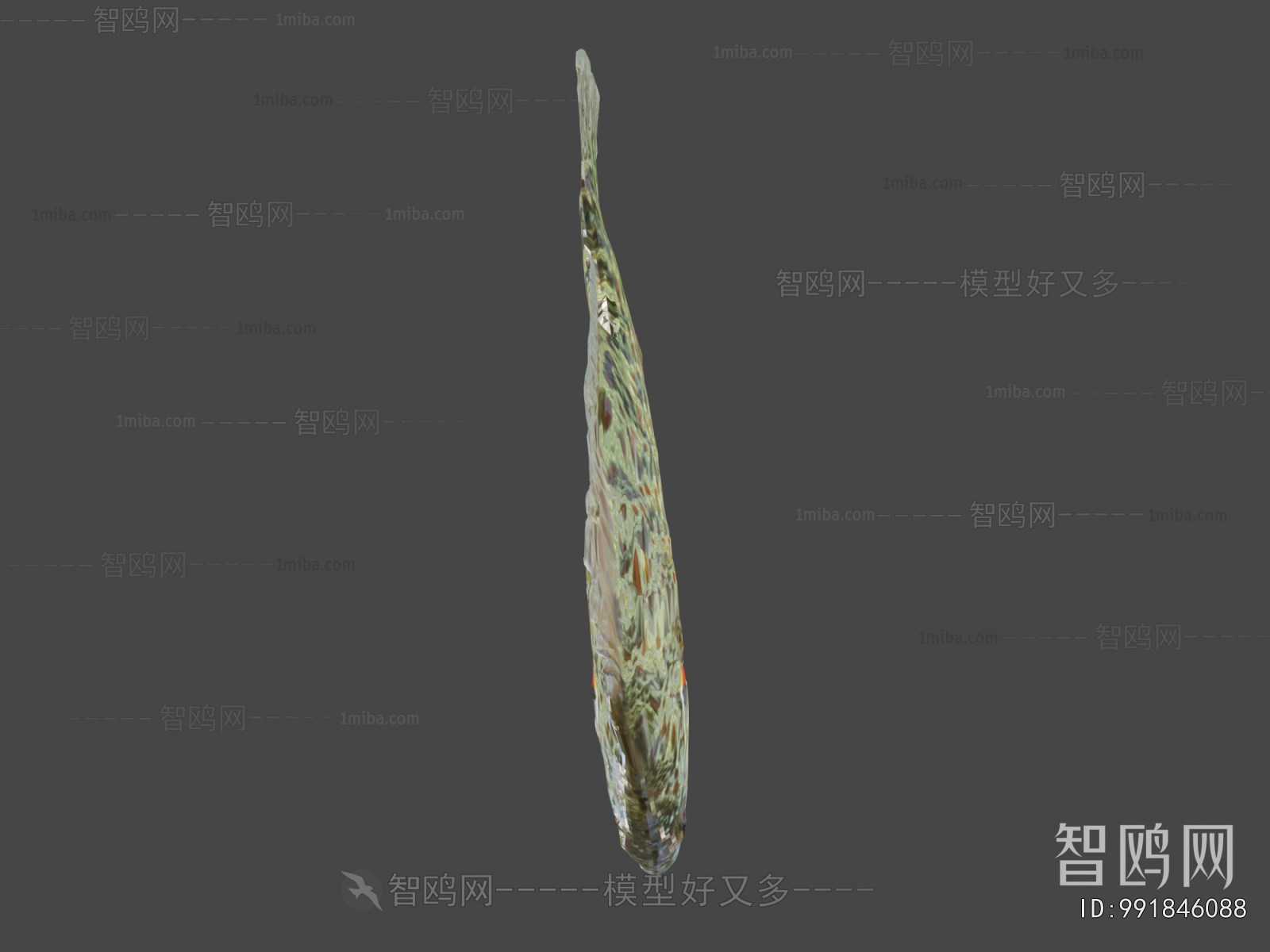 Modern Aquatic Animals