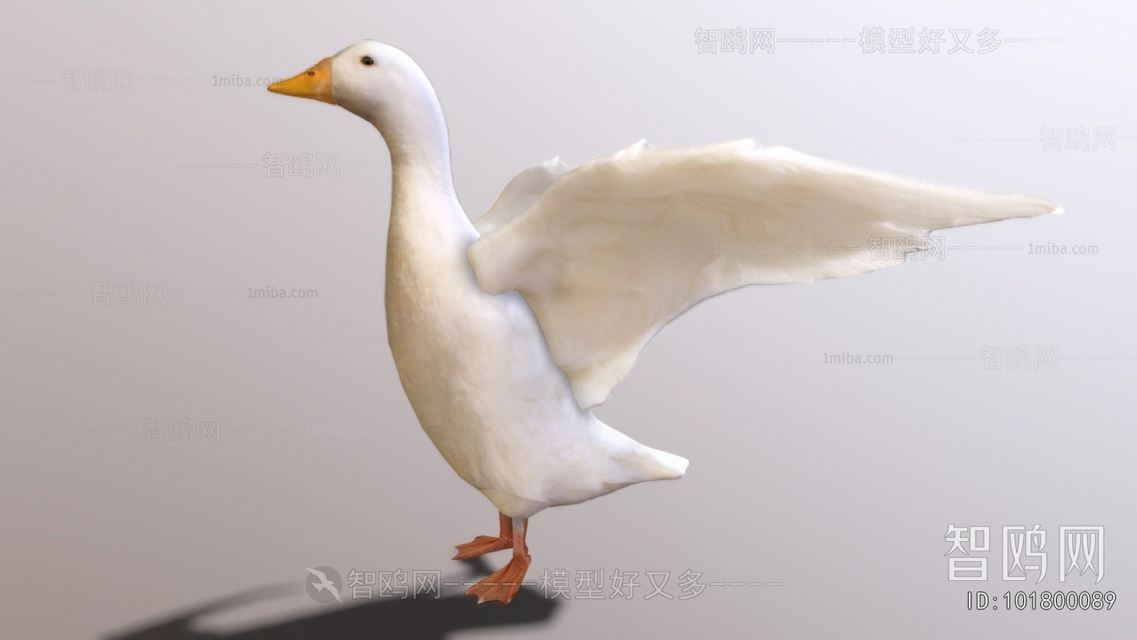 Modern Poultry Animal