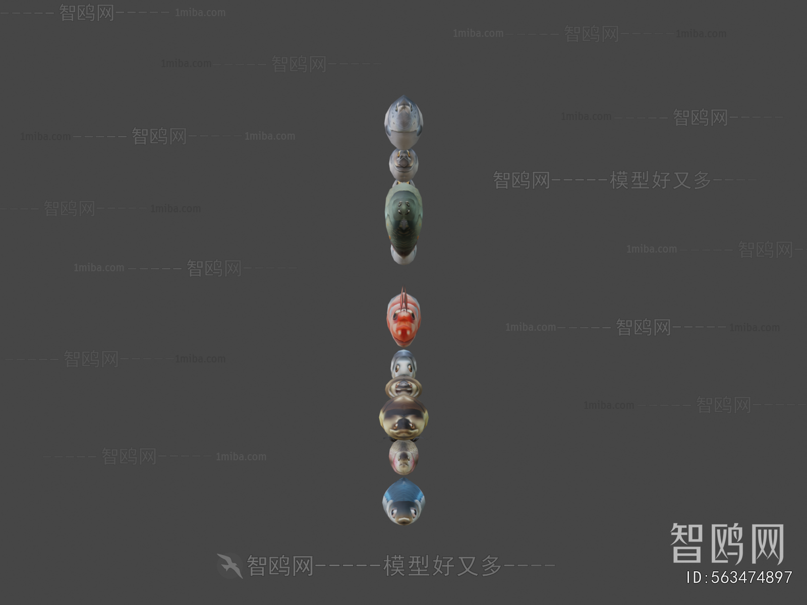 Modern Aquatic Animals