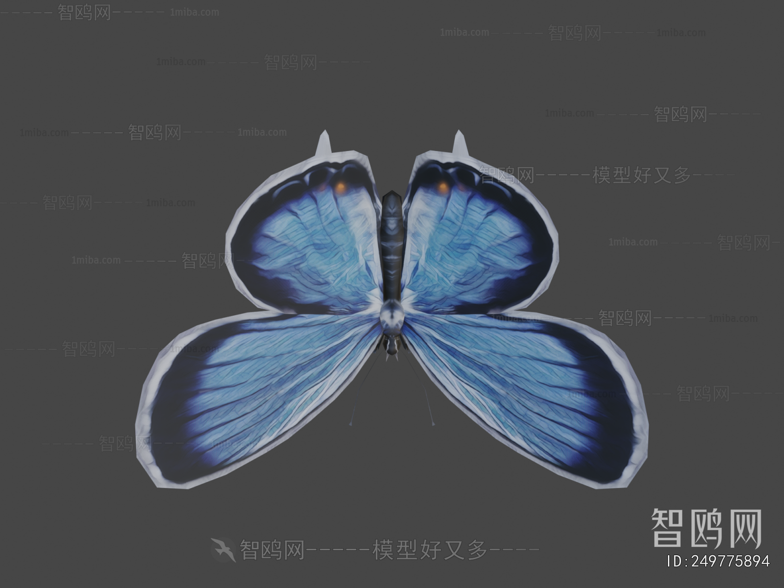 Modern Flying Animals