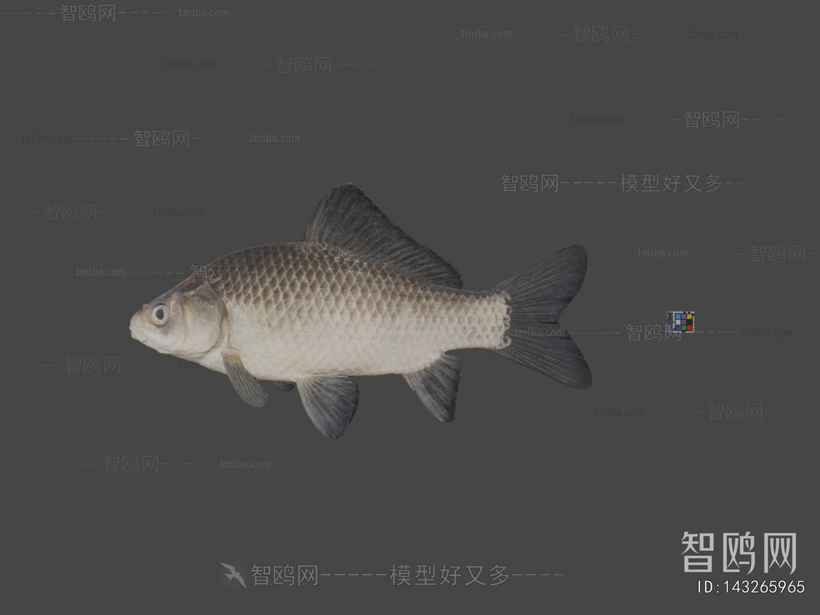 Modern Aquatic Animals