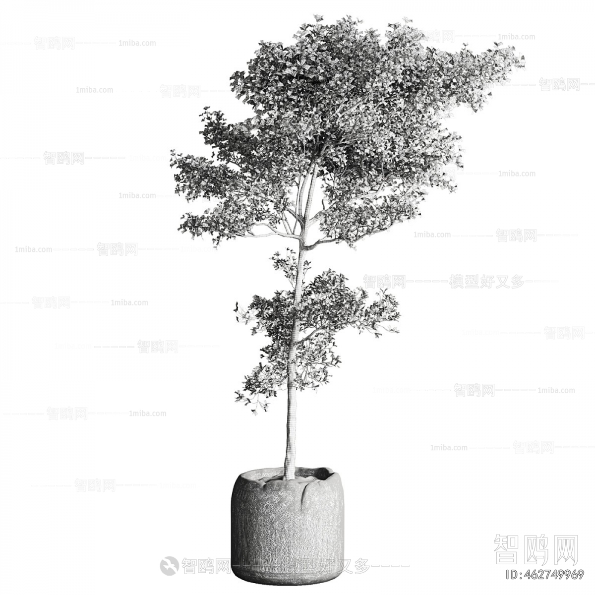 Modern Ground Green Plant Potted Plants