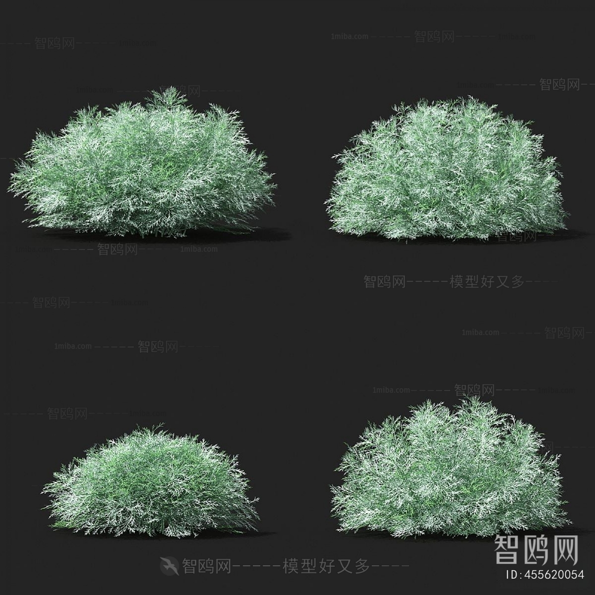 Modern Flowers And Grass