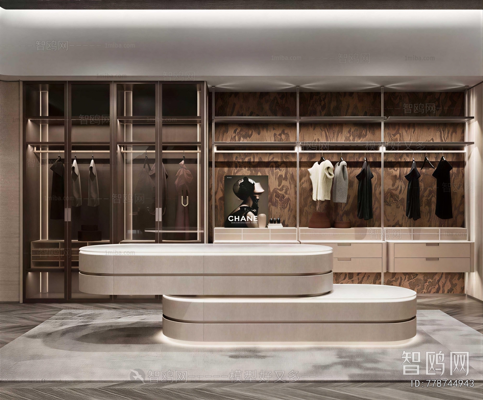 Modern Clothes Storage Area